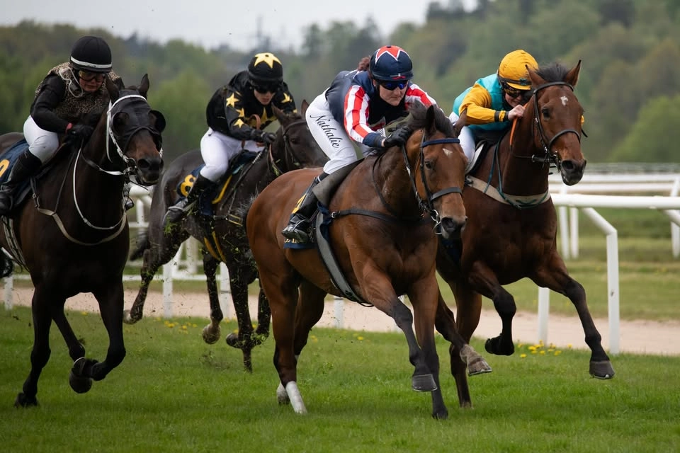 Säsongspremiär med fri entré på Göteborg Galopp 🏇