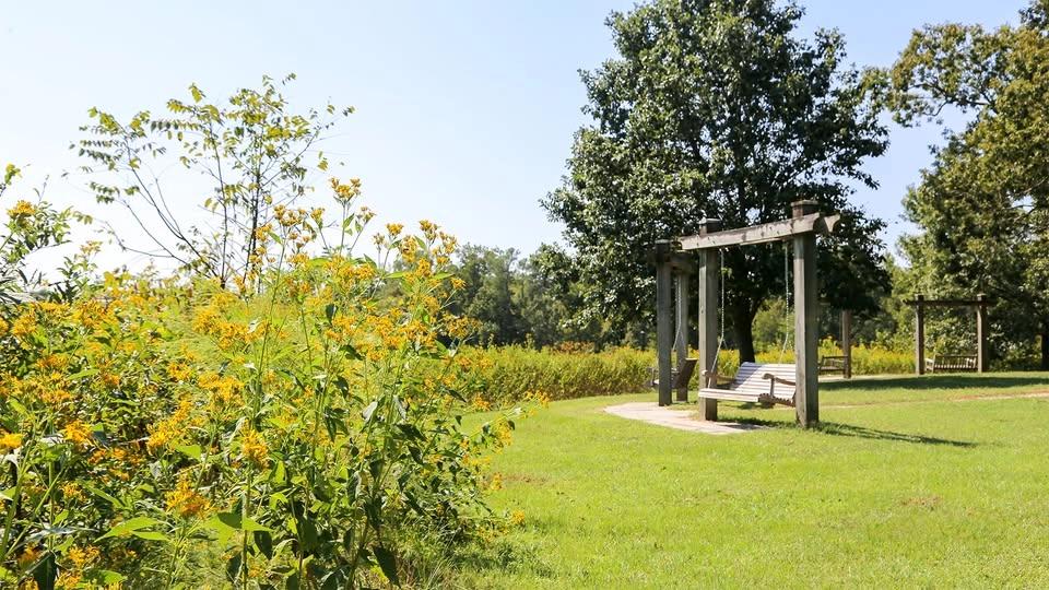District Hike #210 - Anderson Point Park