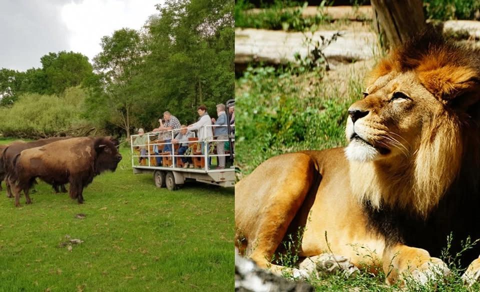 Tagesbusfahrt zur Wildfarm in Schenkenberg und dem Tierpark Ueckermรผnde