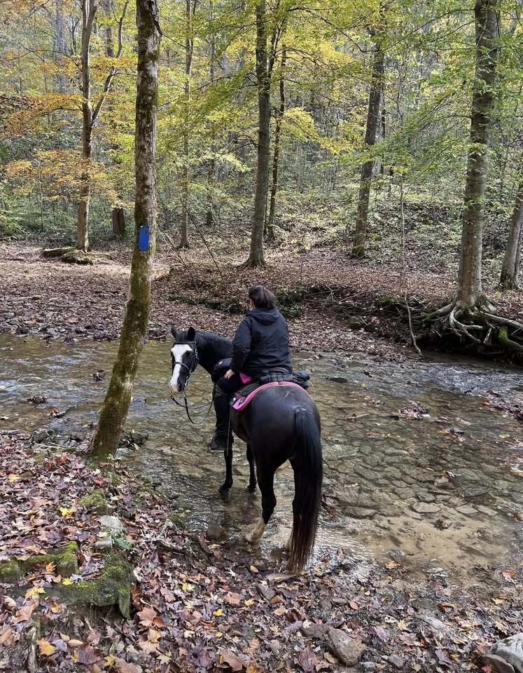 Clark County Trail Ride