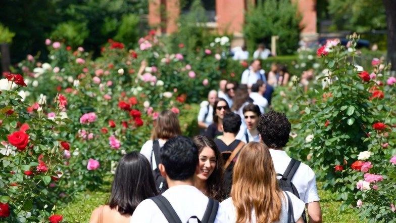 🌹 Una Passeggiata tra Rose, Segreti e Ombre di Roma