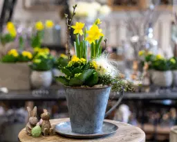 FIRA PÅSK PÅ ÖSMO PLANTSHOP