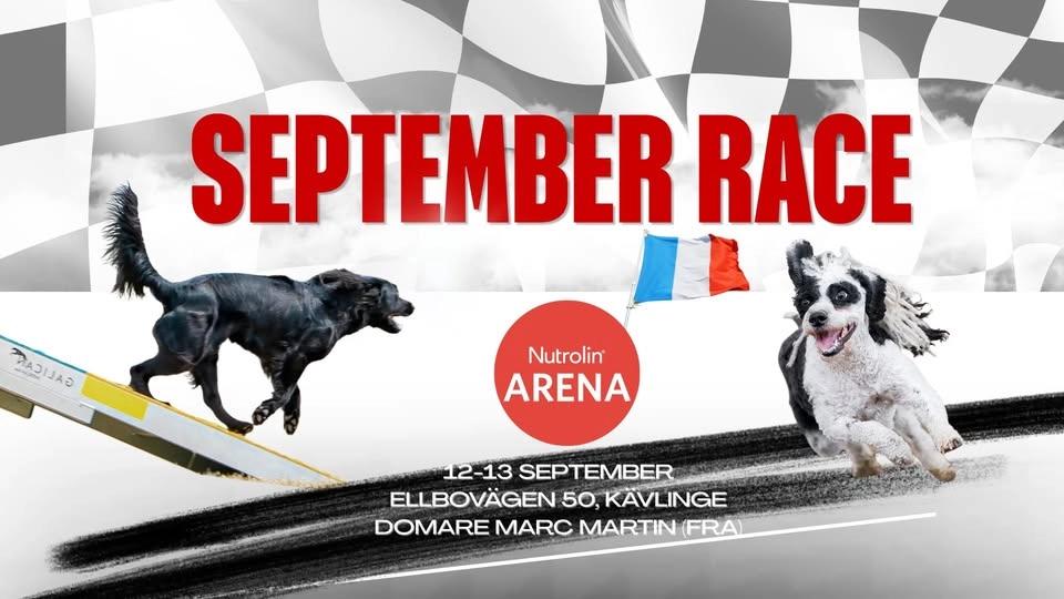 September RACE