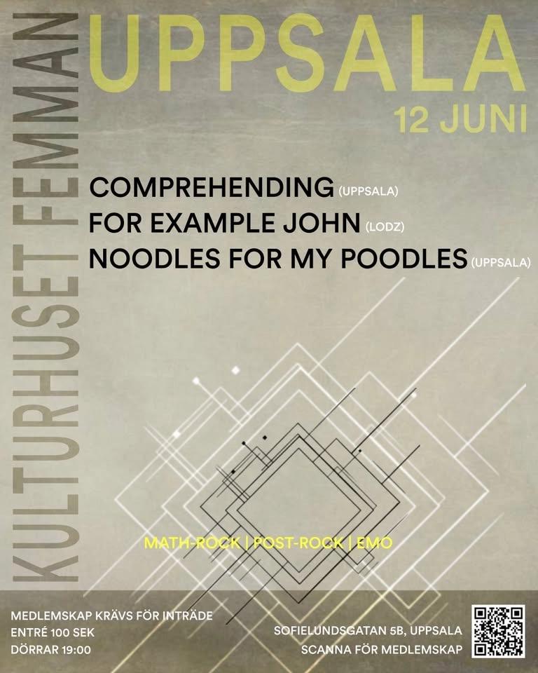 COMPREHENDING| FOR EXAMPLE JOHN | NOODLES FOR MY POODLES | FEMMAN UPPSALA 12.06