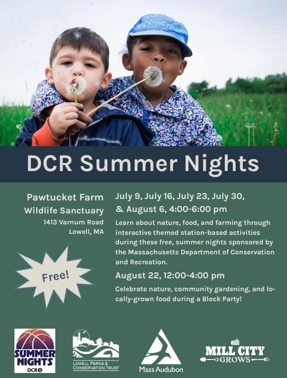 DCR Summer Nights