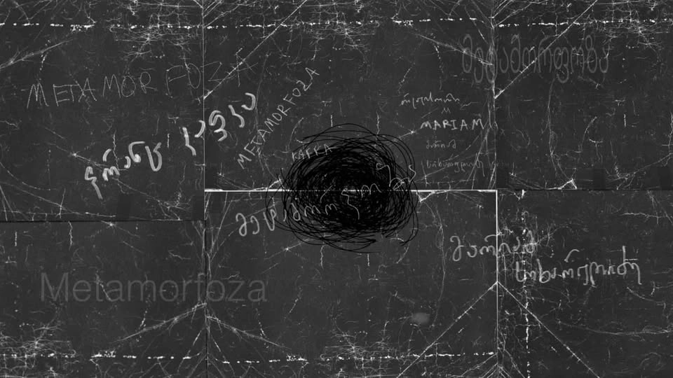 მეტამორფოზა