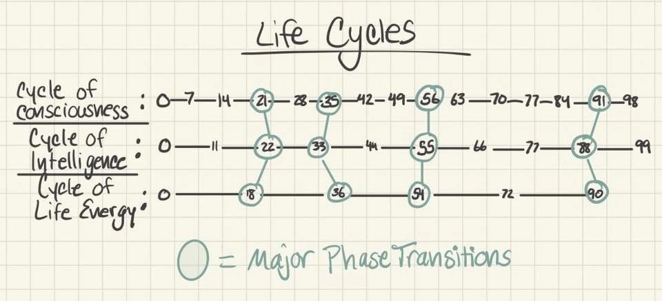 Cycles of Life