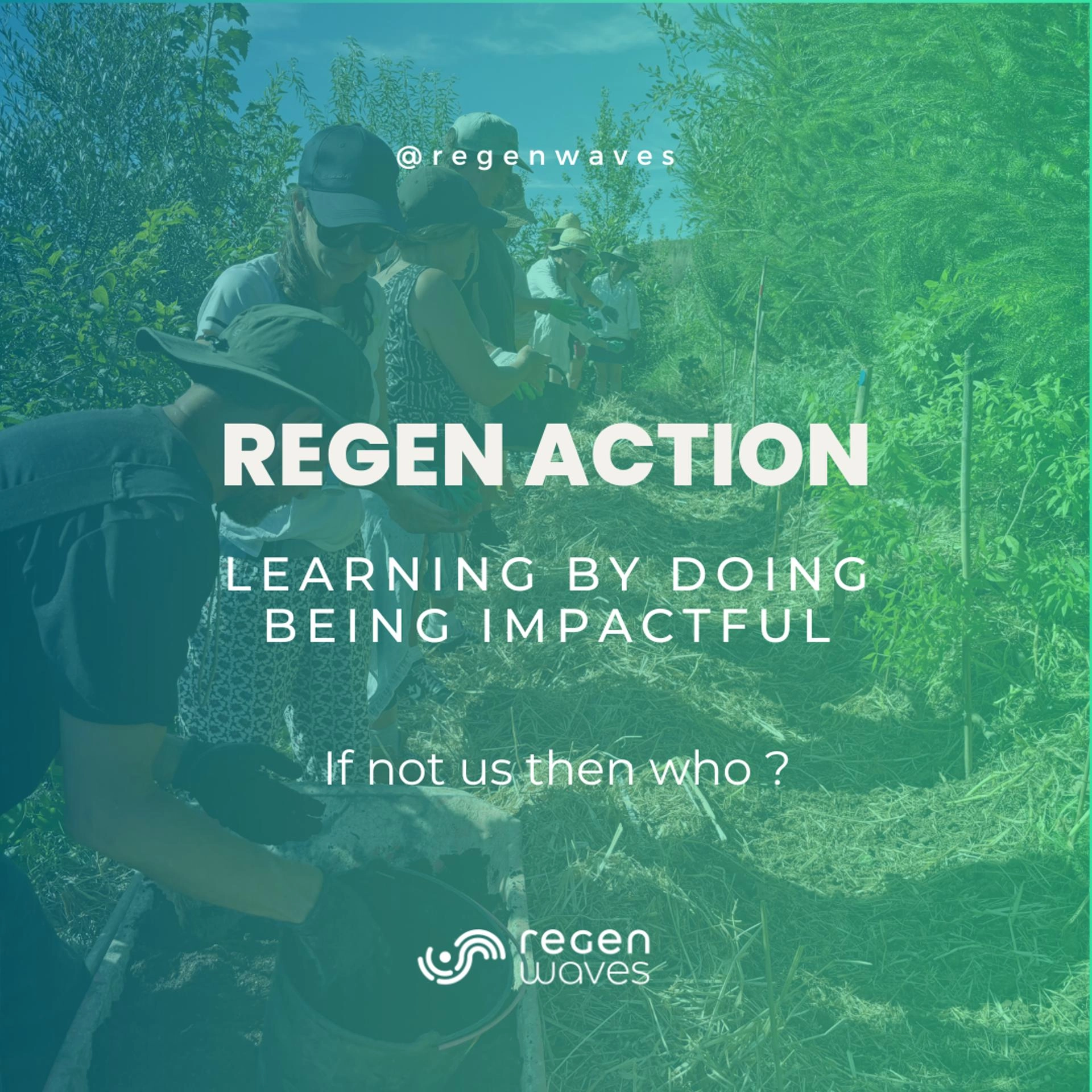 Regen Action #9 Site 1 Lab Forest — Learning by doing : Regenerating a bioregion