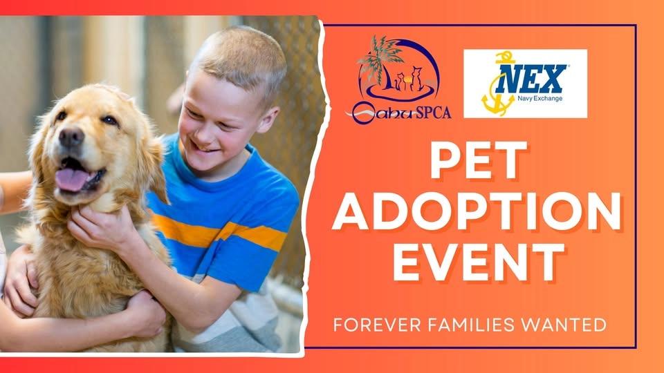 Oahu SPCA Pet Adoption Event- Navy Exchange Mall