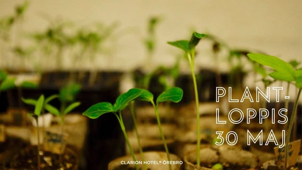 Plantloppis at Clarion Hotel Örebro