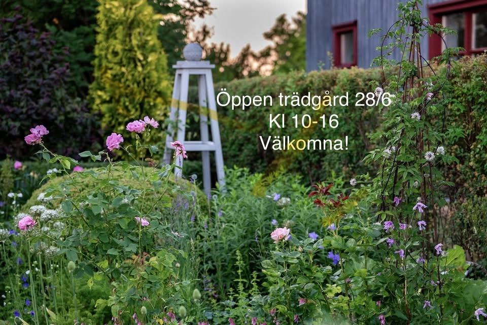 Öppen trädgård