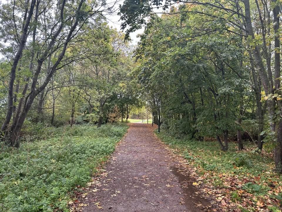 Bulltofta parkrun