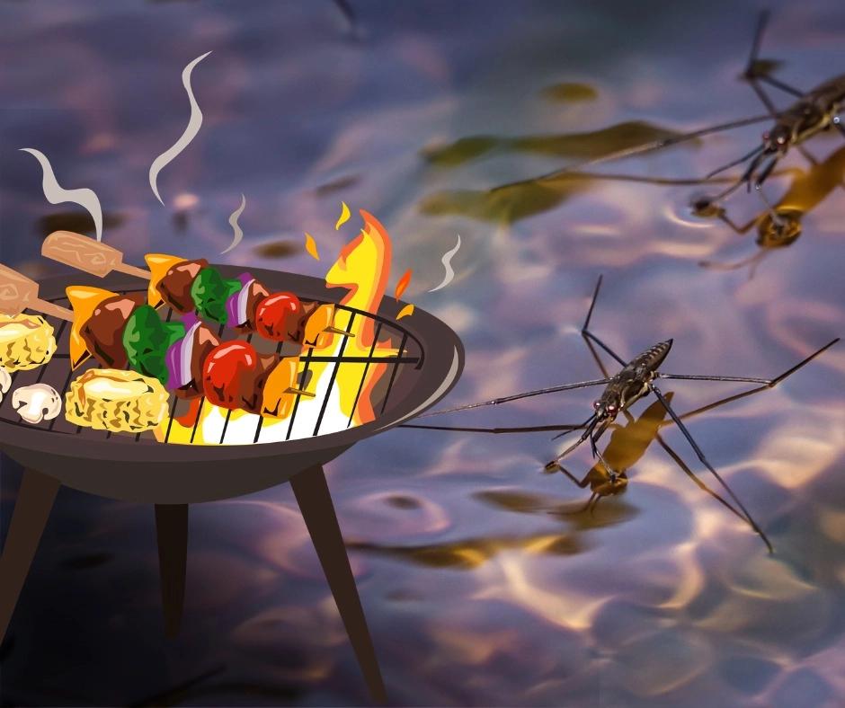 Håv och grillkväll i Holma Skogsträdgård