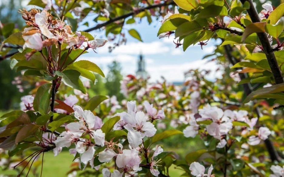 Körernas sommarkonsert Donsö
