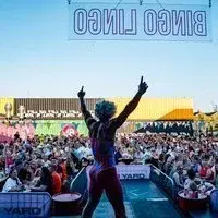 BINGO LINGO - Tiger Yard - Outdoor Summer Sessions