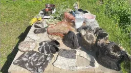 Hedestriks sommerskole