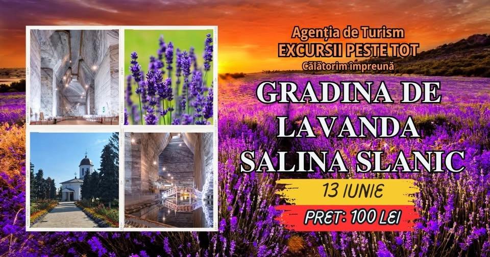 🌸💜 𝐆𝐑𝐀𝐃𝐈𝐍𝐀 𝐃𝐄 𝐋𝐀𝐕𝐀𝐍𝐃𝐀 – 𝐒𝐀𝐋𝐈𝐍𝐀 𝐒𝐋𝐀𝐍𝐈𝐂