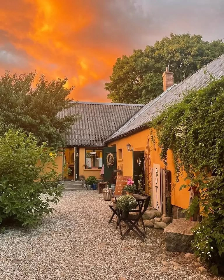 Weekend i Österlen - Nia & Yin Yoga