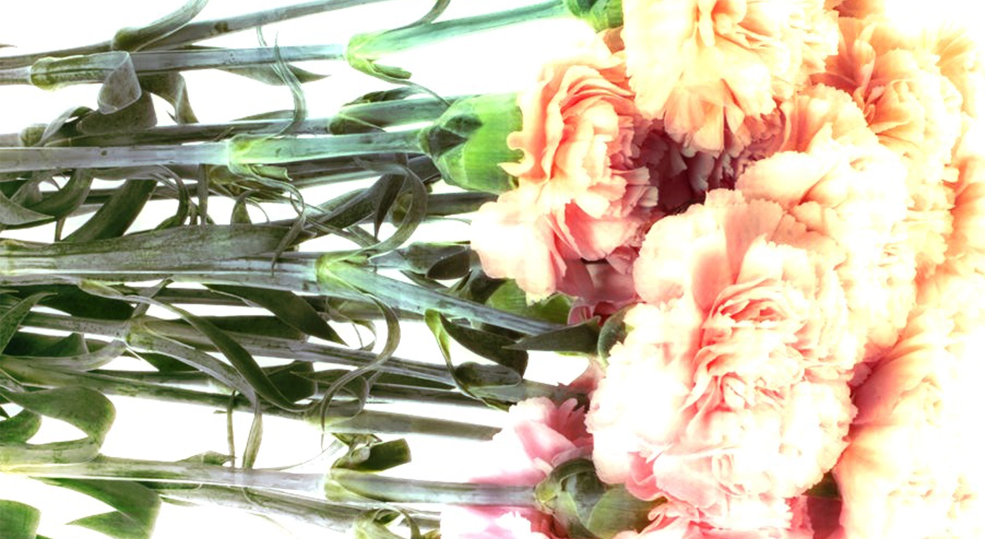 WOCHENMITTE w. Manu Strasse b2b Adron