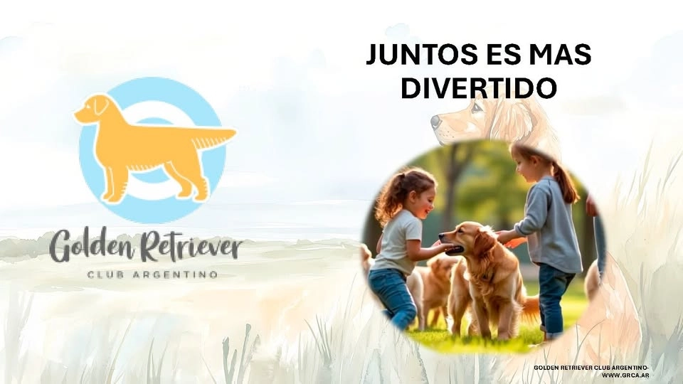 EVENTO DE CAPACITACION /GROOMING BASICO Y AVANZADO