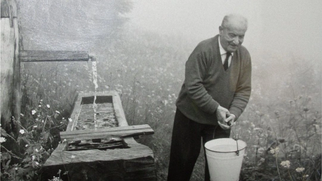 Philosophy Seminar: Paths in the Woods