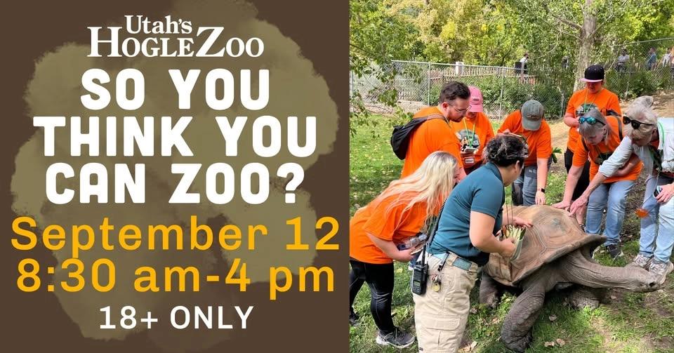 So you think you can zoo?
