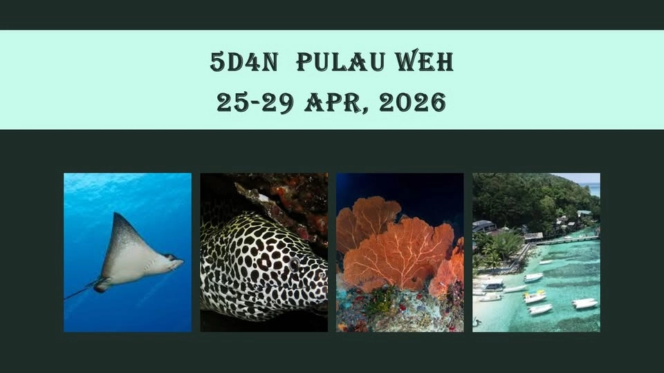 Dive Pulau Weh 2026