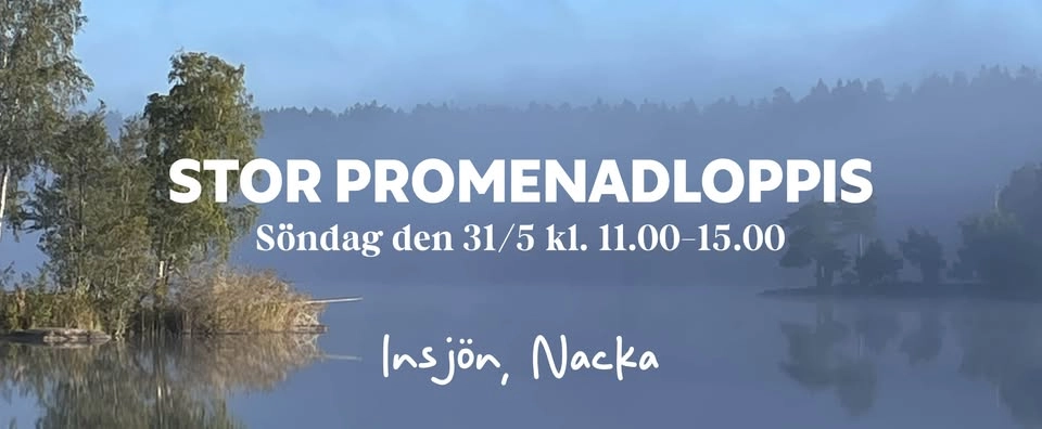Stor promenadsloppis vid Insjön, Nacka
