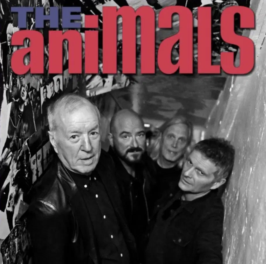 The ANIMALS på Scalateatern i Stockholm!