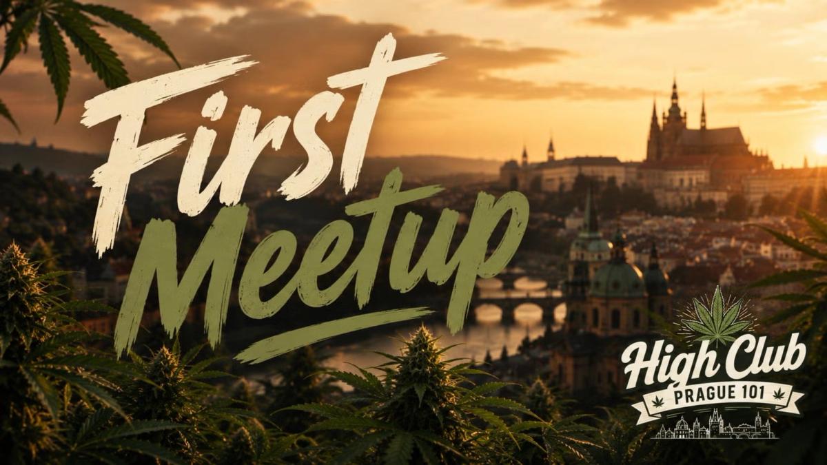 🌿 420 Sunset Meetup #001