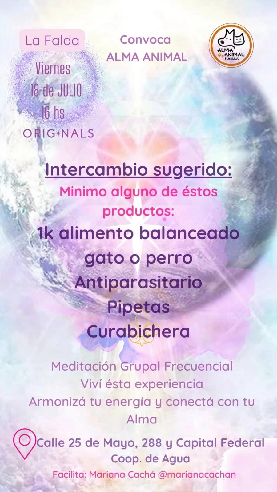Meditación Grupal Frecuencial
