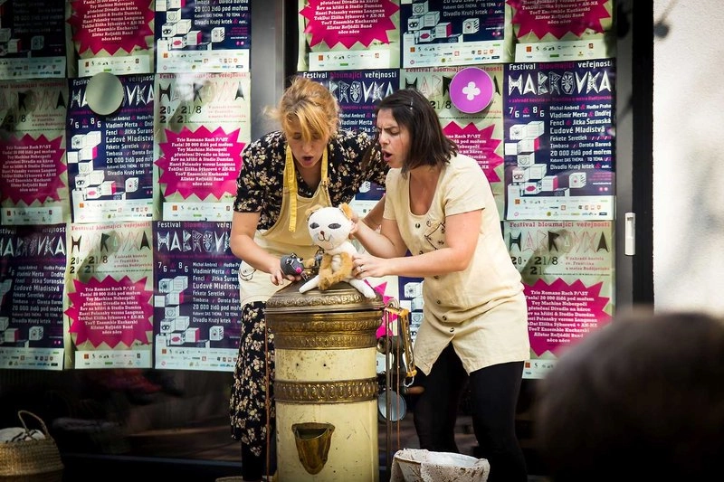 Kočička z kávové pěny