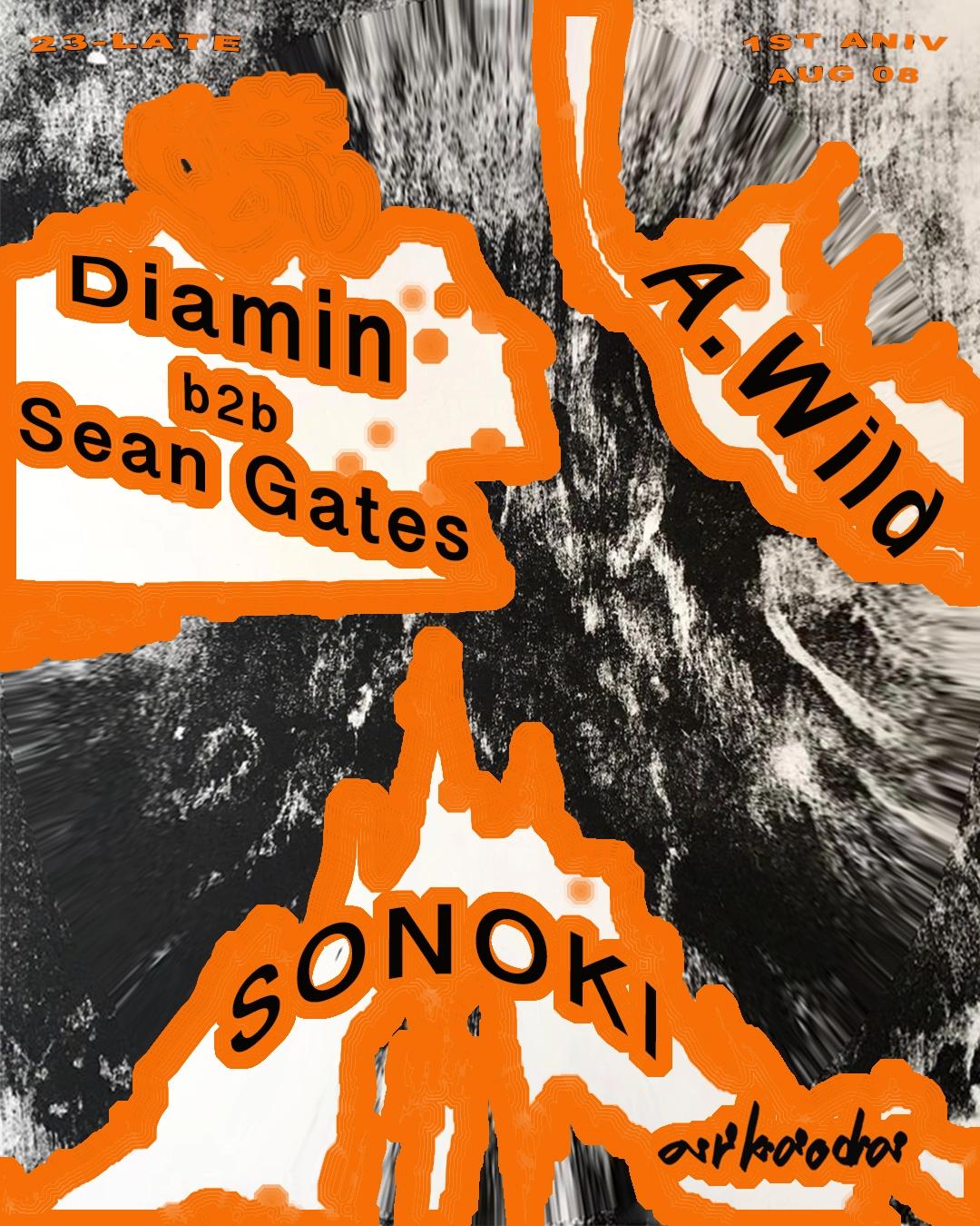 Braygray — 1 Year A.Wild , Diamin b2b Sean Gates , SONOKI