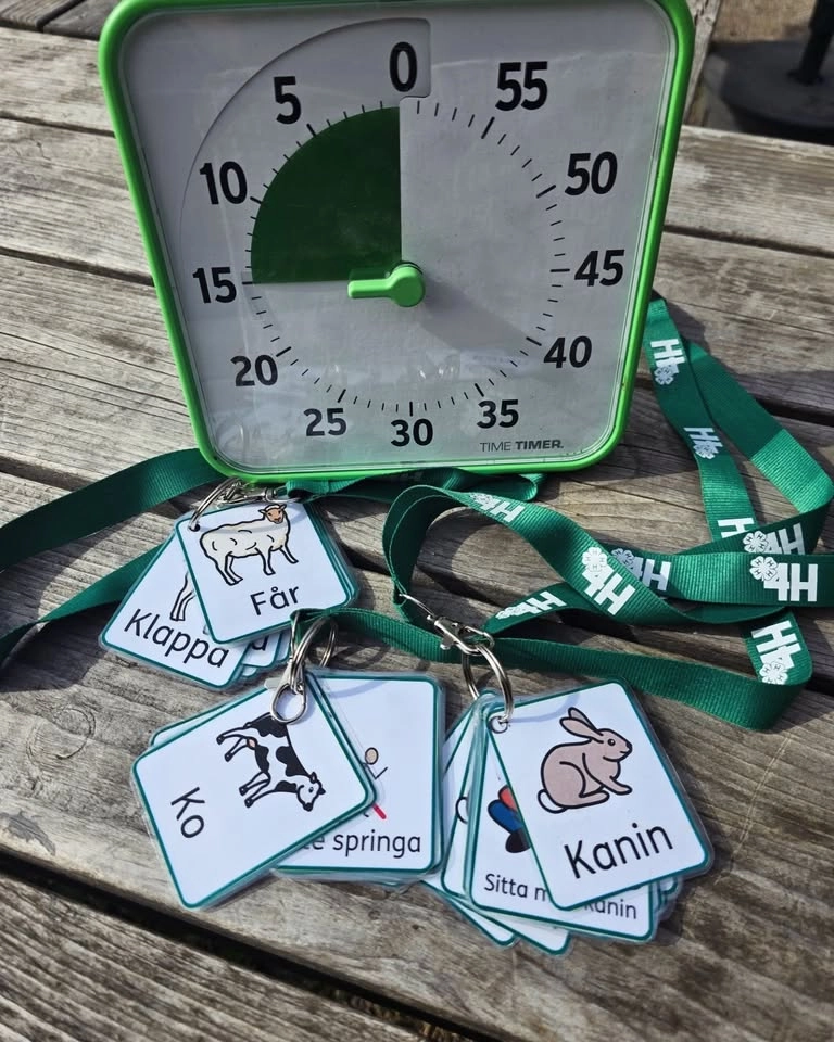 Funkisfesten på Eolshälls 4H-gård i Hägersten