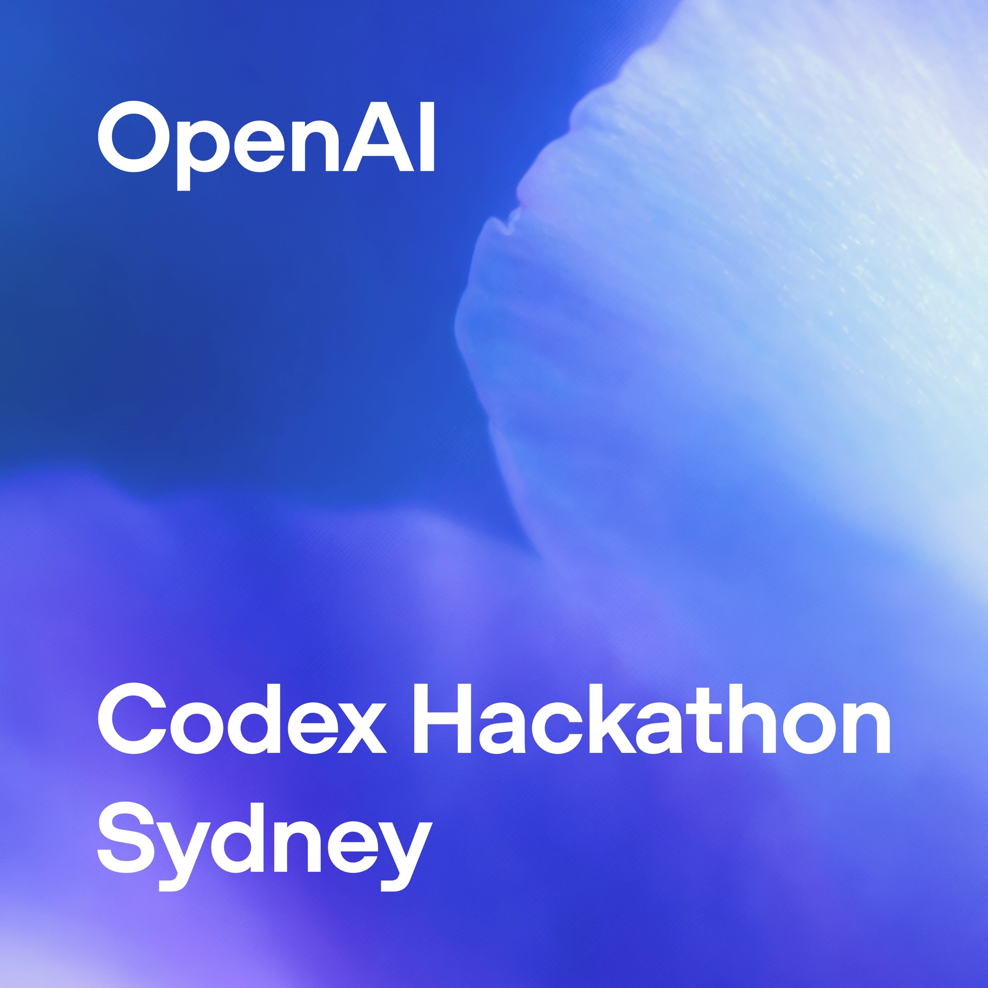 OpenAI Codex Hackathon - Sydney