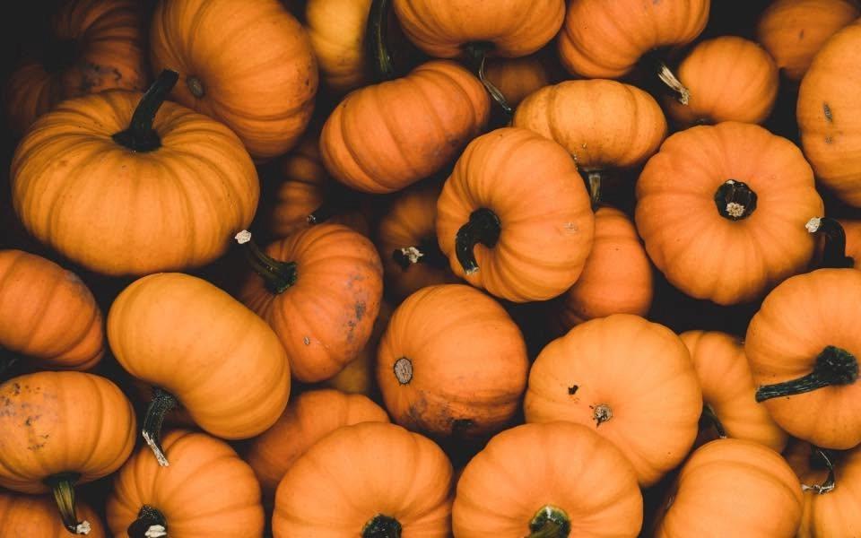 Summerween Market by the PEI Witch Market