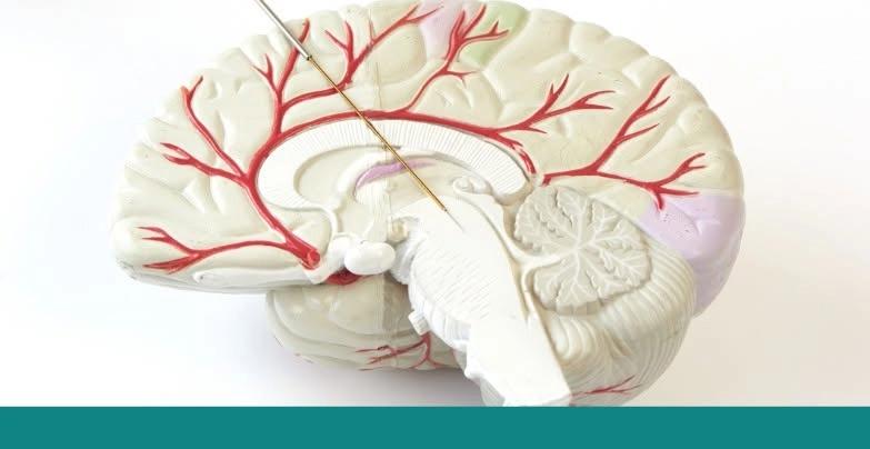 MDS-PAS 5th Neuromodulation School for Movement Disorders