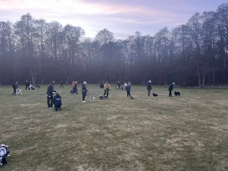 Ringträning i Hässleholm