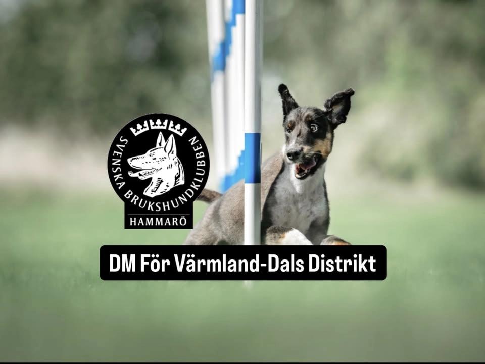 DM För Värmland-Dals Distrikt 🏆