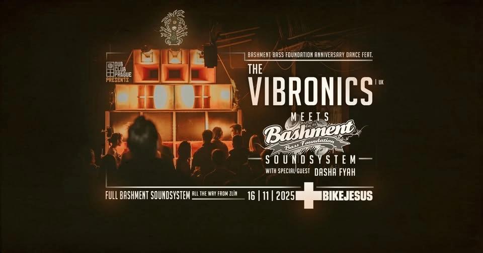 THE VIBRONICS (UK) meets BASHMENT SOUNDSYSTEM