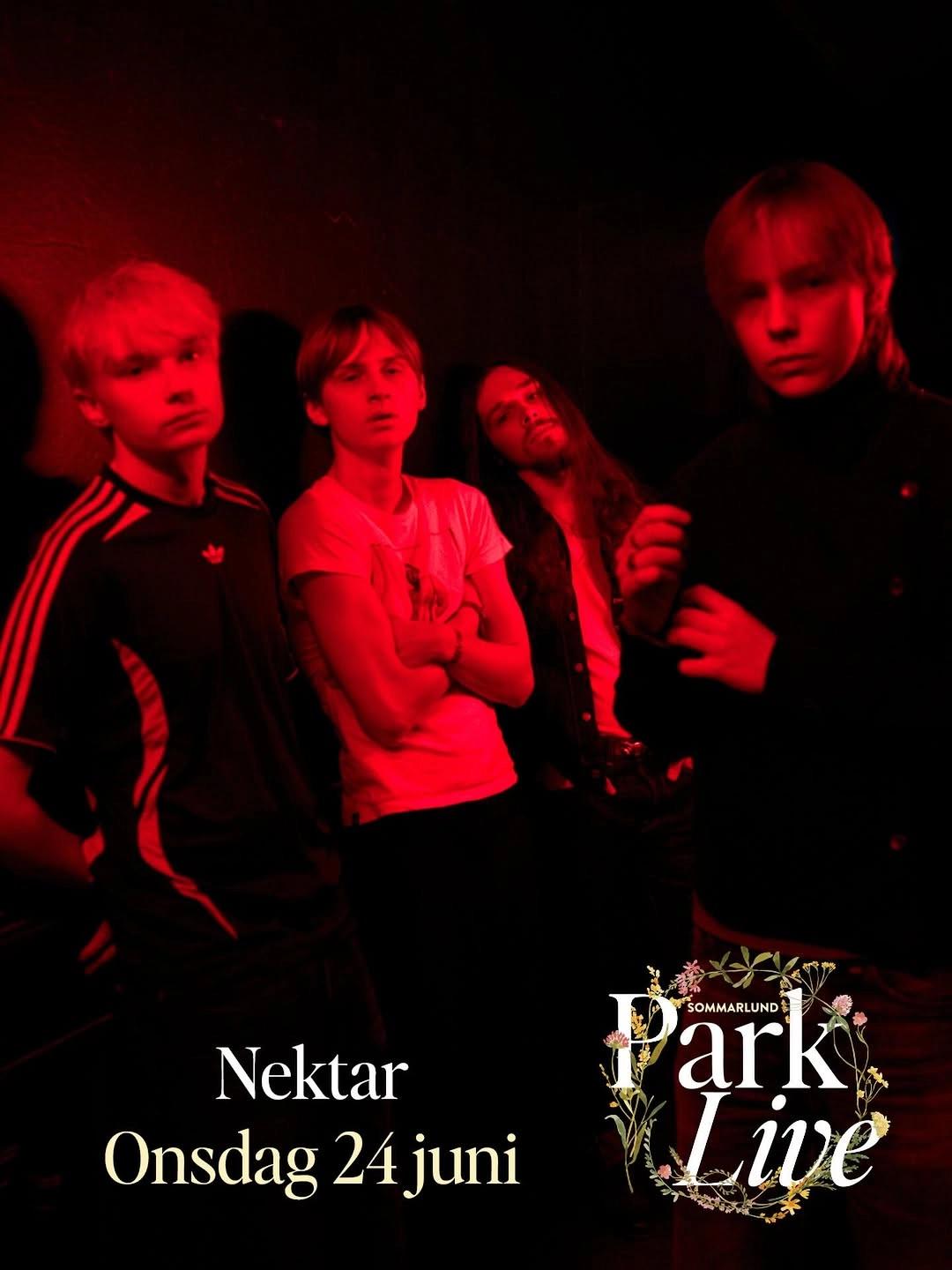 Park Live: Nektar