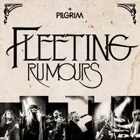 Fleeting Rumours: live dedication to Fleetwood Mac