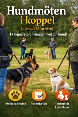 Hundmöten i koppel