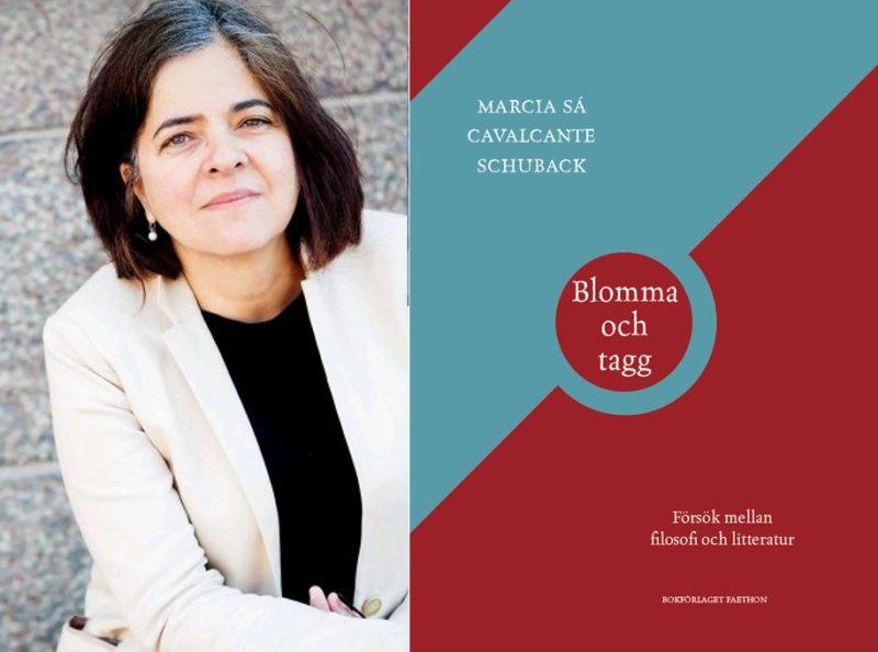 En eftermiddag om Marcia Sá Cavalcante Schubacks nya bok!
