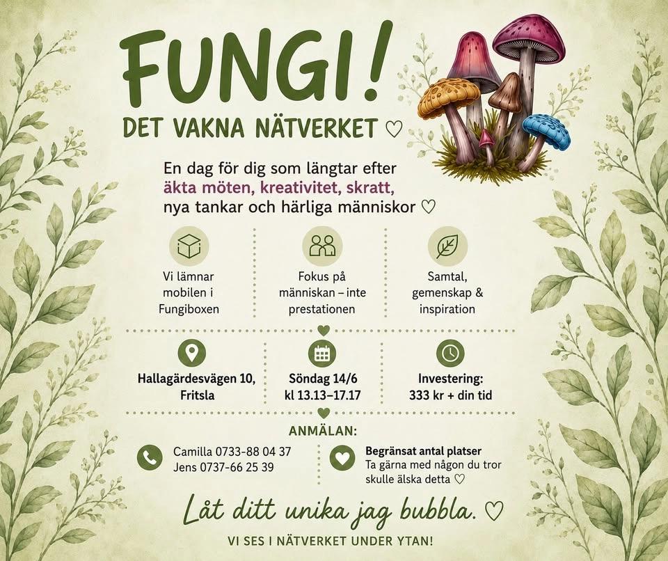 🍄🟫 FUNGI -Det vakna nätverket 🍄