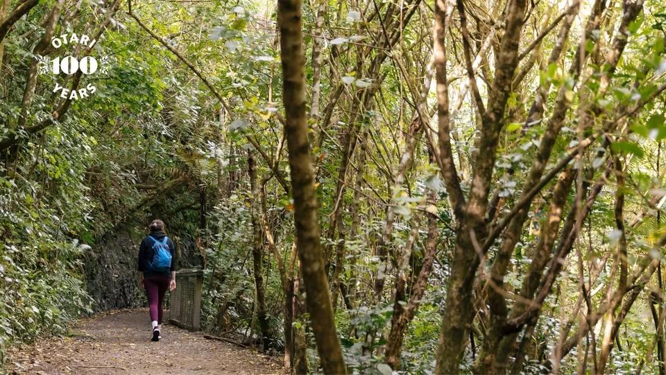 Kaiwharawhara Restoration Revisited