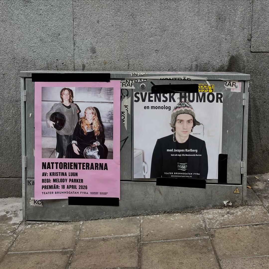 Svensk Humor – en monolog