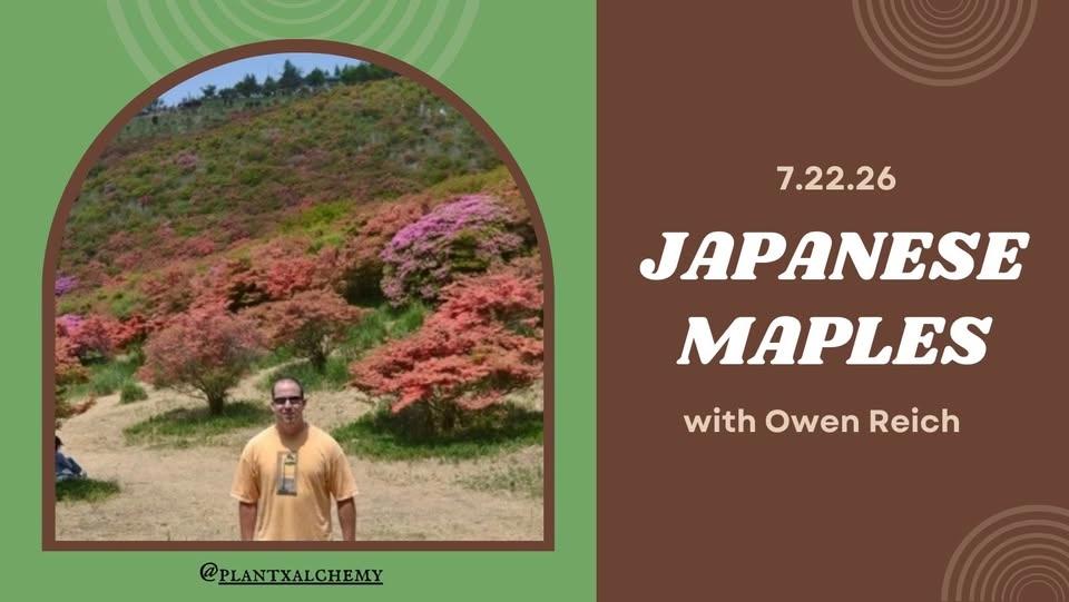 July Meeting- Japanese Maples with Owen Reich