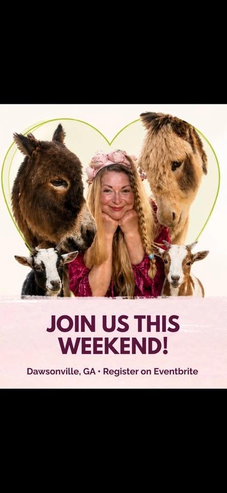 Miss Debbie’s Wild Ark-Animals, Art & Fun