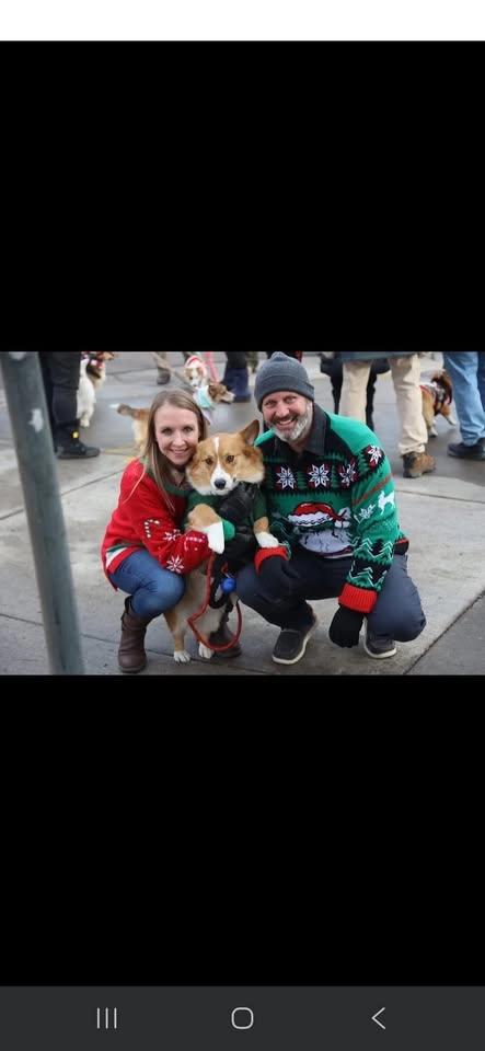 Ugly Sweater Corgi Stroll!